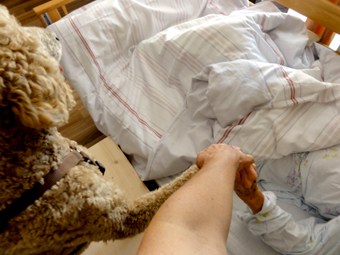 Berri h&auml;lt Hand mit Patientin